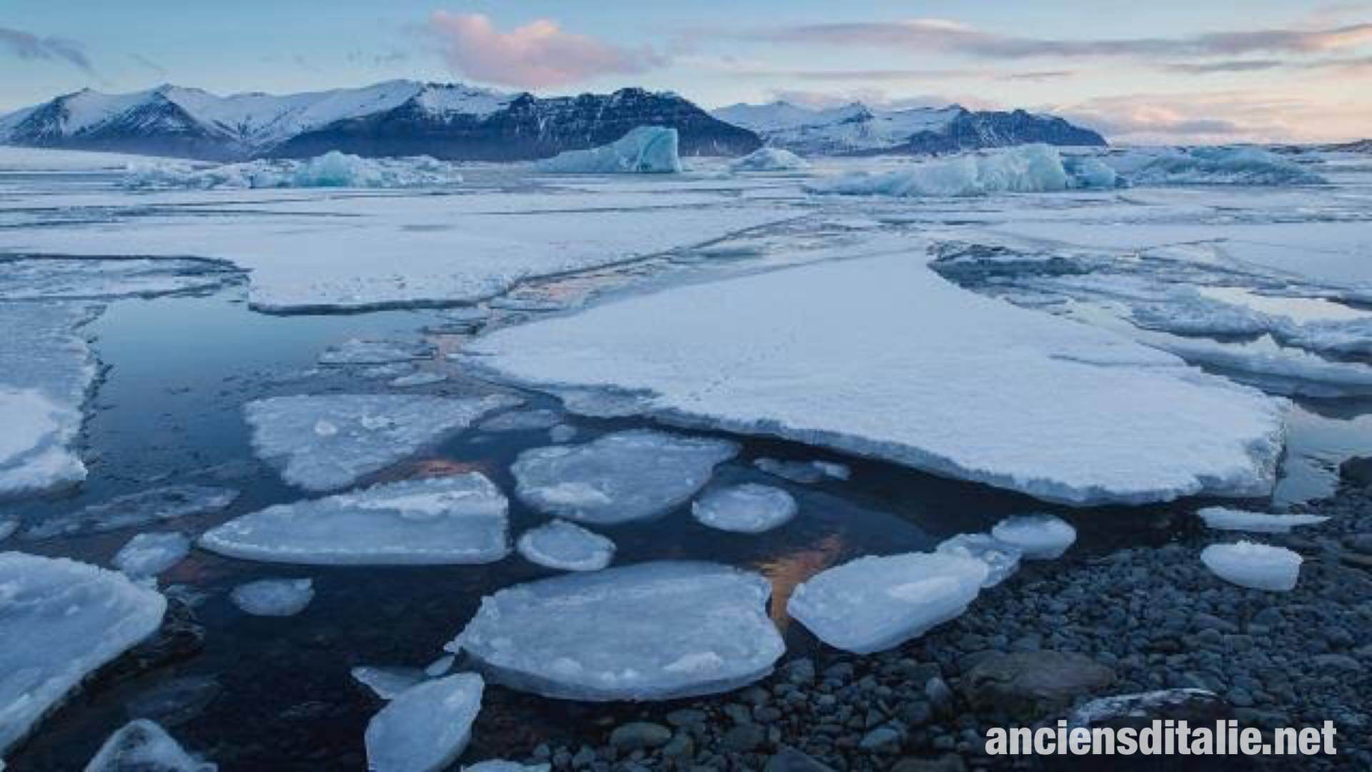 6 ผลกระทบของ การสูญเสียน้ำแข็ง ในทะเลอาร์กติก