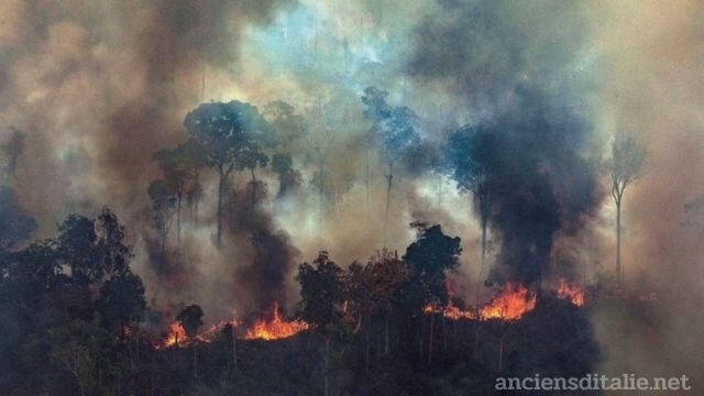 ความแห้งแล้ง ที่ป่าอเมซอนต้องประสบ