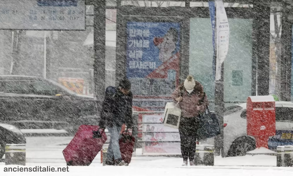 เกาหลีใต้ และญี่ปุ่น เผชิญเหตุหิมะตกหนัก