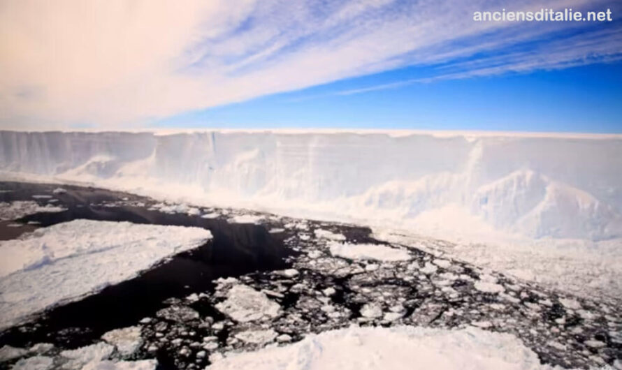 น้ำแข็งในทะเลแอนตาร์กติกา ละลายต่ำ