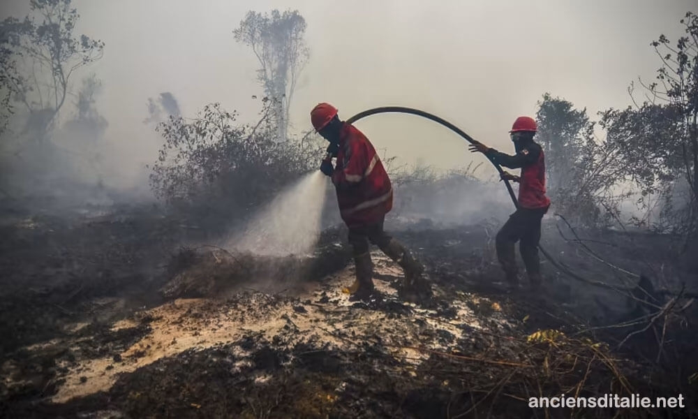 อินโดนีเซียป้องกันไฟป่าพรุ