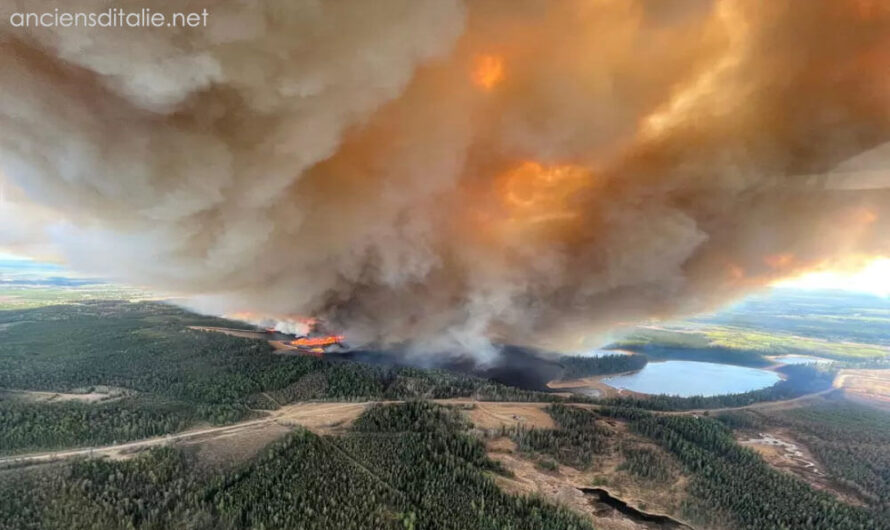 แคนาดาขอความช่วยเหลือเร่งด่วน เพื่อต่อสู้กับไฟป่า