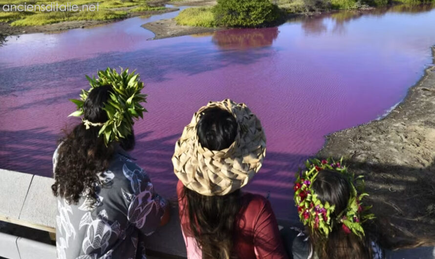 บ่อน้ำคุ้มครองสัตว์ป่าในฮาวาย กลายเป็นสีชมพู ภัยแล้งอาจเป็นเหตุ